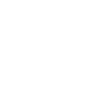 Bear icon