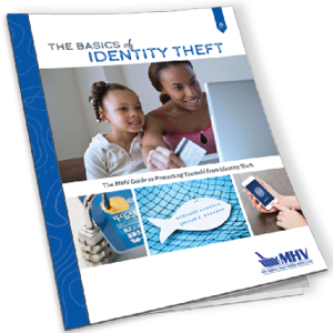 Identity Theft eBook