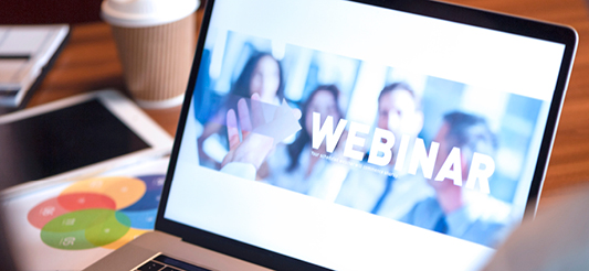 webinar screen display