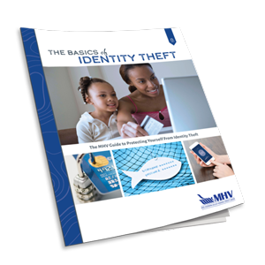 identity theft ebook cover image