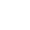 EMV Chip Technology