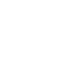 Visas zero liability policy